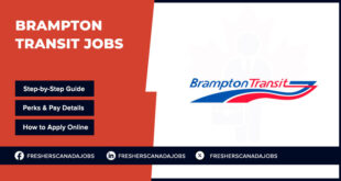 Brampton Transit Jobs