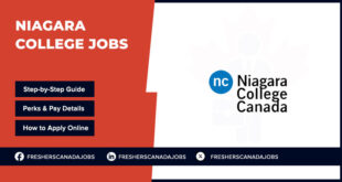  Niagara College Jobs